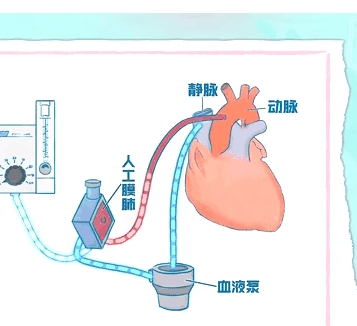 動(dòng)態(tài)心肺音數(shù)據(jù)存儲(chǔ)傳輸軟件ld-hls理得