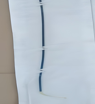 導引導管埃普特代理
